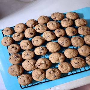 Crunchy chocolate chip cookies