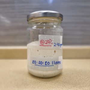 Sourdough Starter (50g)